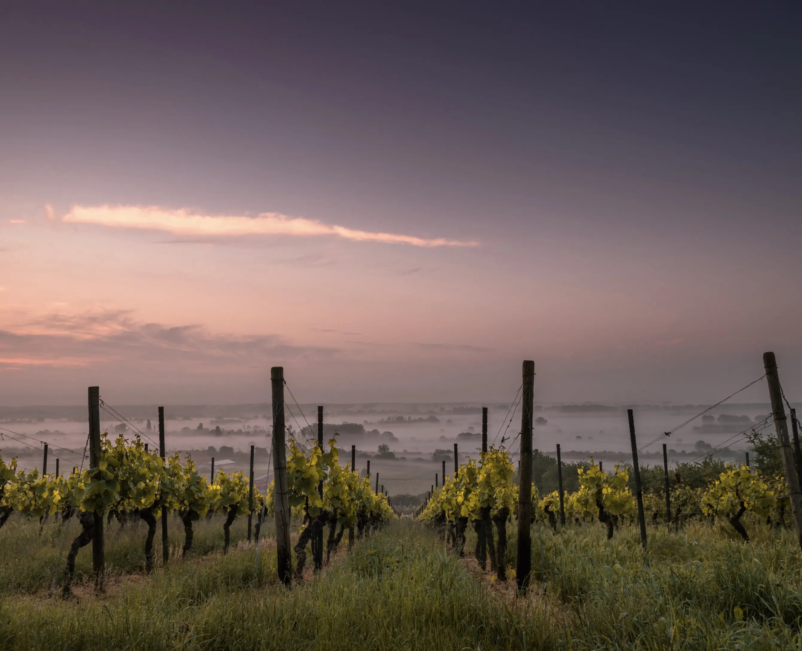 Ontdek de Bourgogne