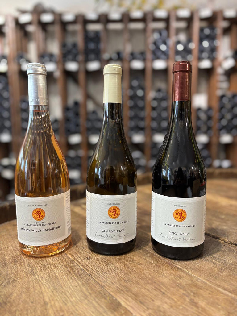 Actiedoos Domaine Pascerette des Vignes