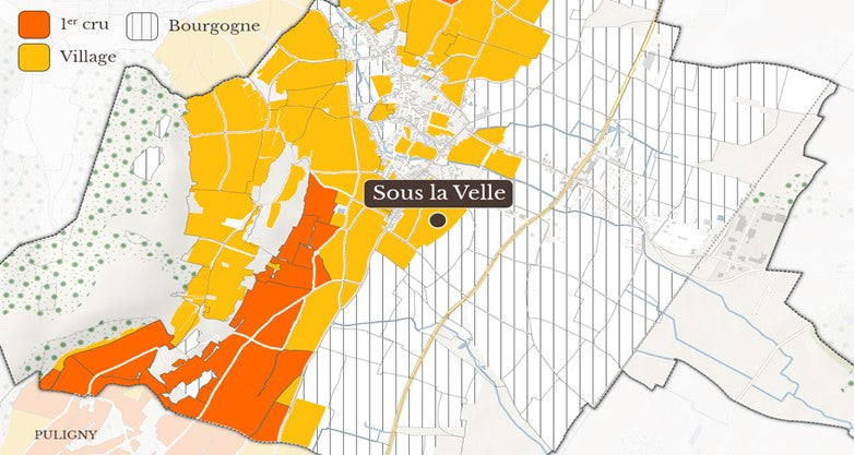 Petit Meursault - Bourgogne "Sous la Velle" 2023 Wit, Domaine Denis Carré