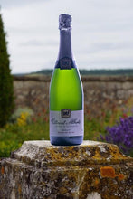 Afbeelding in Gallery-weergave laden, Cremant de Bourgogne Brut Blanc de Noirs, Domaine Vitteaut-Alberti